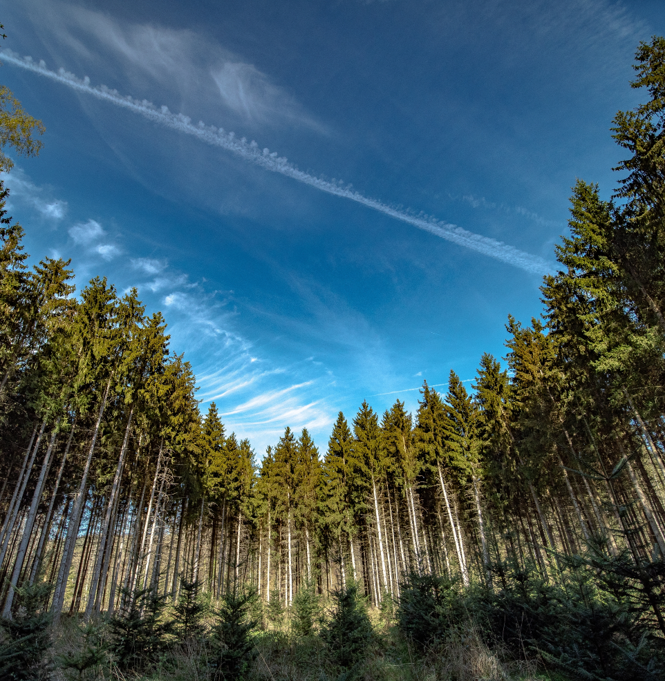 Nature Solutions
Hub (NSH)
