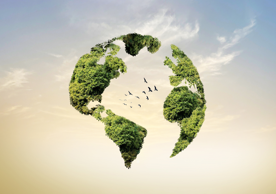 WFPS Vision