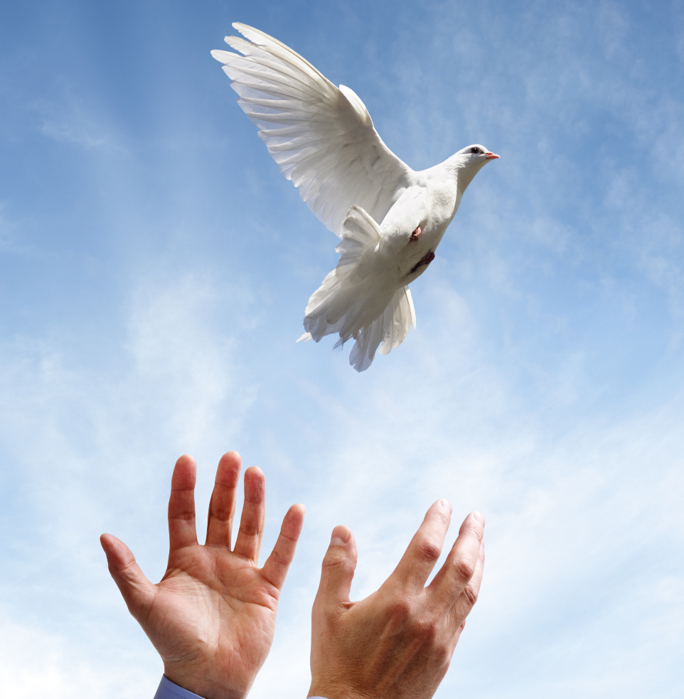 Peace Engagement
Hub (PEH)